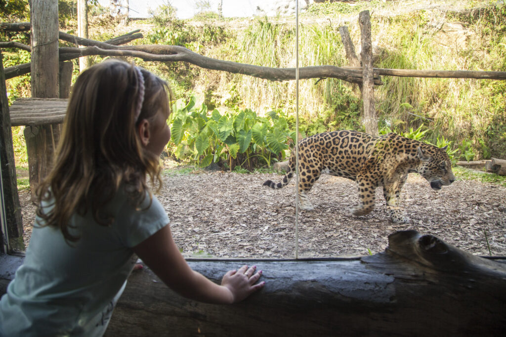 zoo Gramado roteiro completo