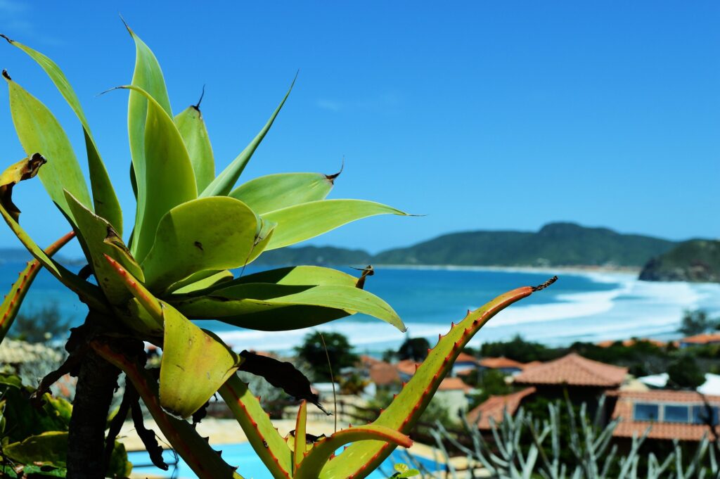 Descubra o Paraíso da Região dos Lagos