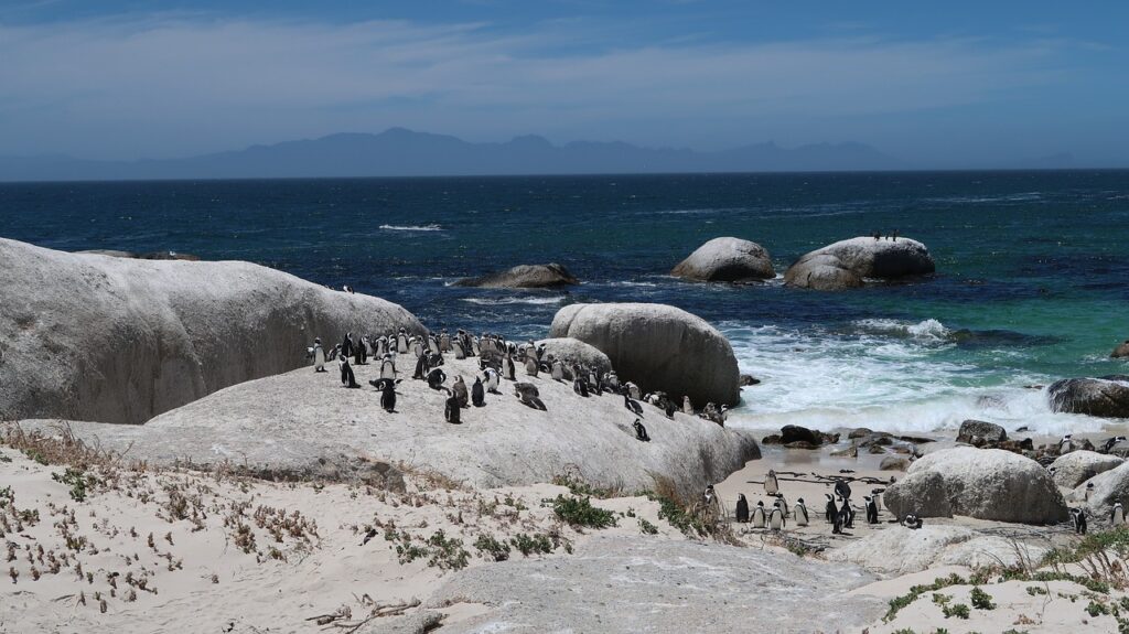 Cape Town-África do Sul