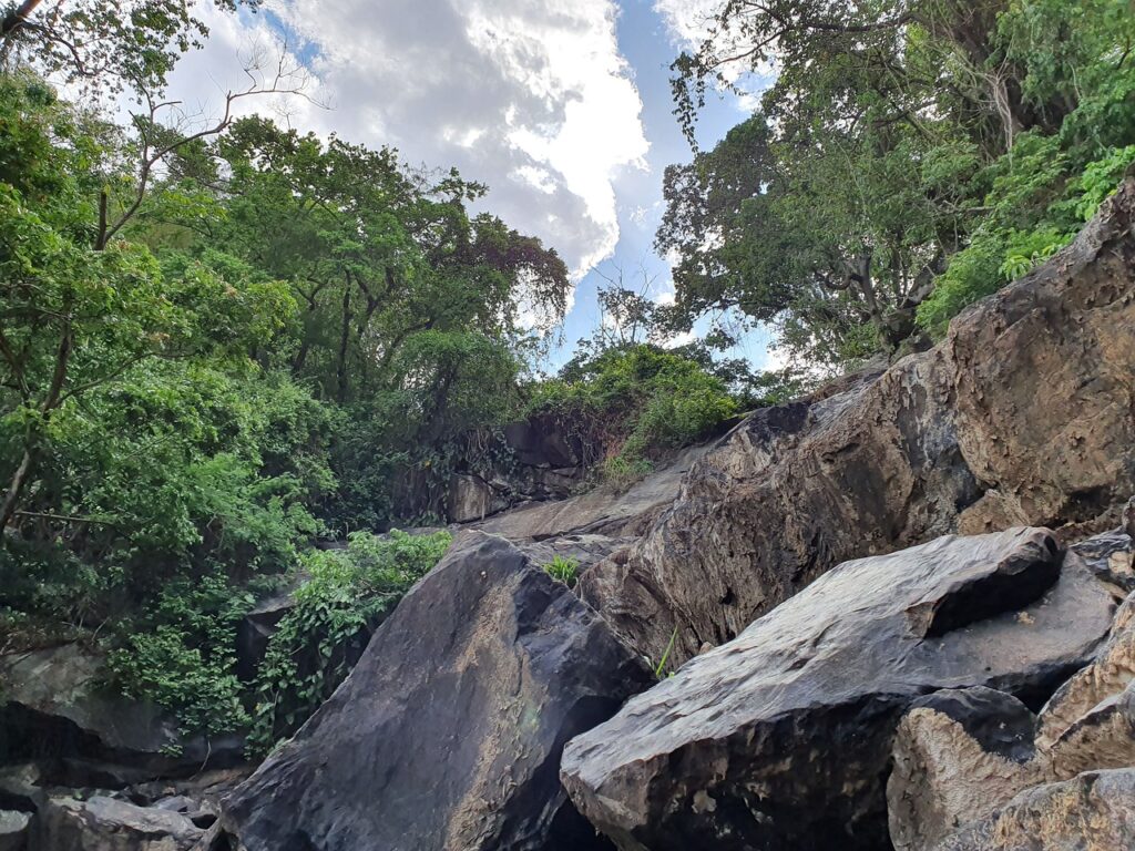 Descubra a Alegria do Nordeste Brasileiro