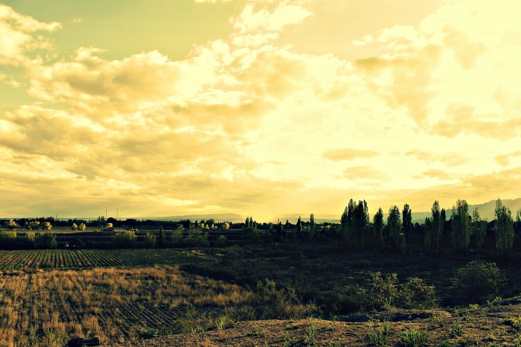 Descubra os encantos de Mendoza em 4 dias